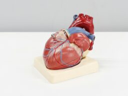 Dr. Jose Jacob- Cardiovascular Care