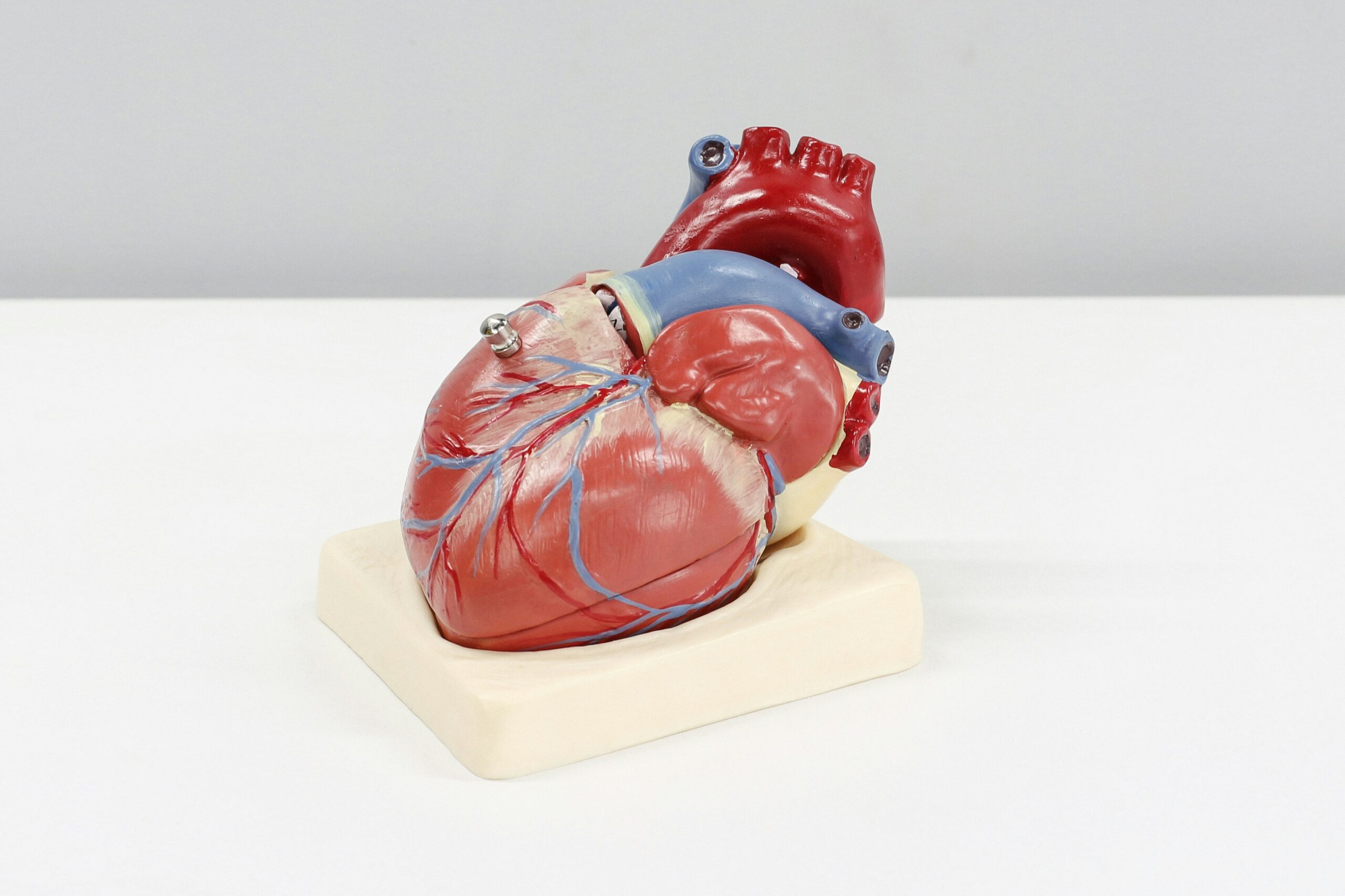 Dr. Jose Jacob- Cardiovascular Care